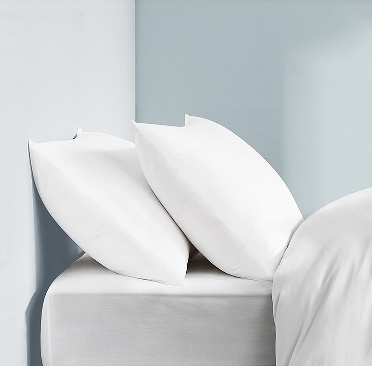 Feather Fabric Pillows