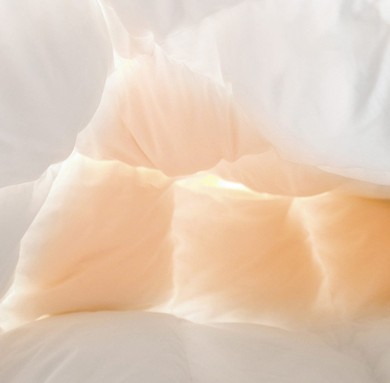 Goose Feather Down Comforter